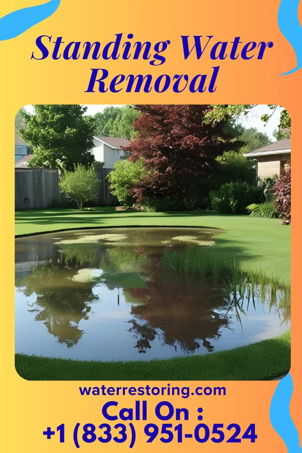 Standing Water Removal in Beulah, MS